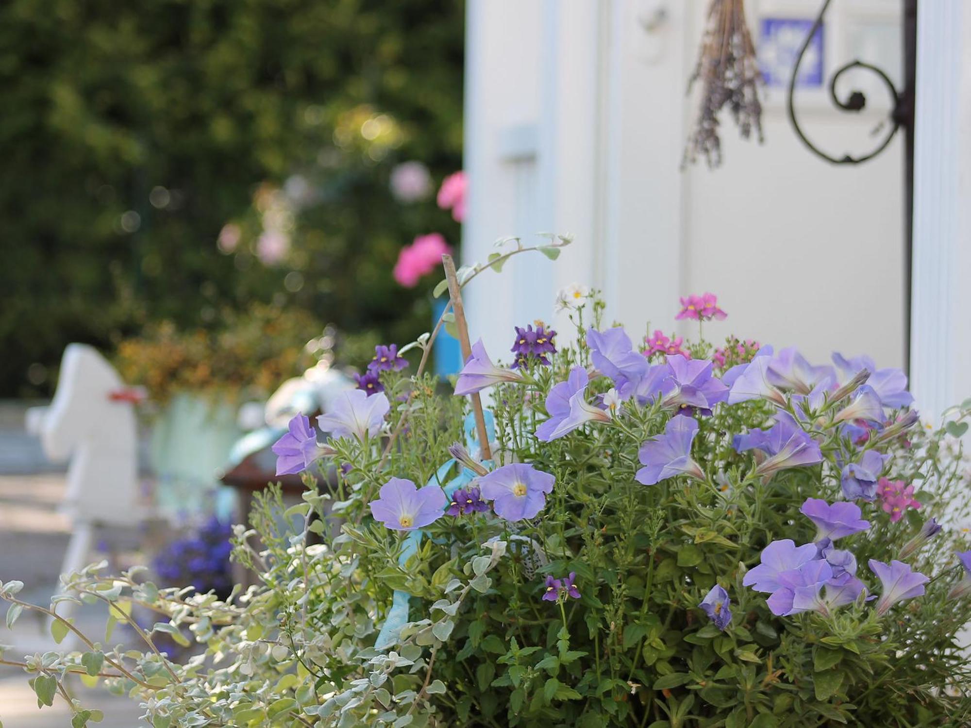 Haus Midsommer Timmendorfer Strand Quarto foto